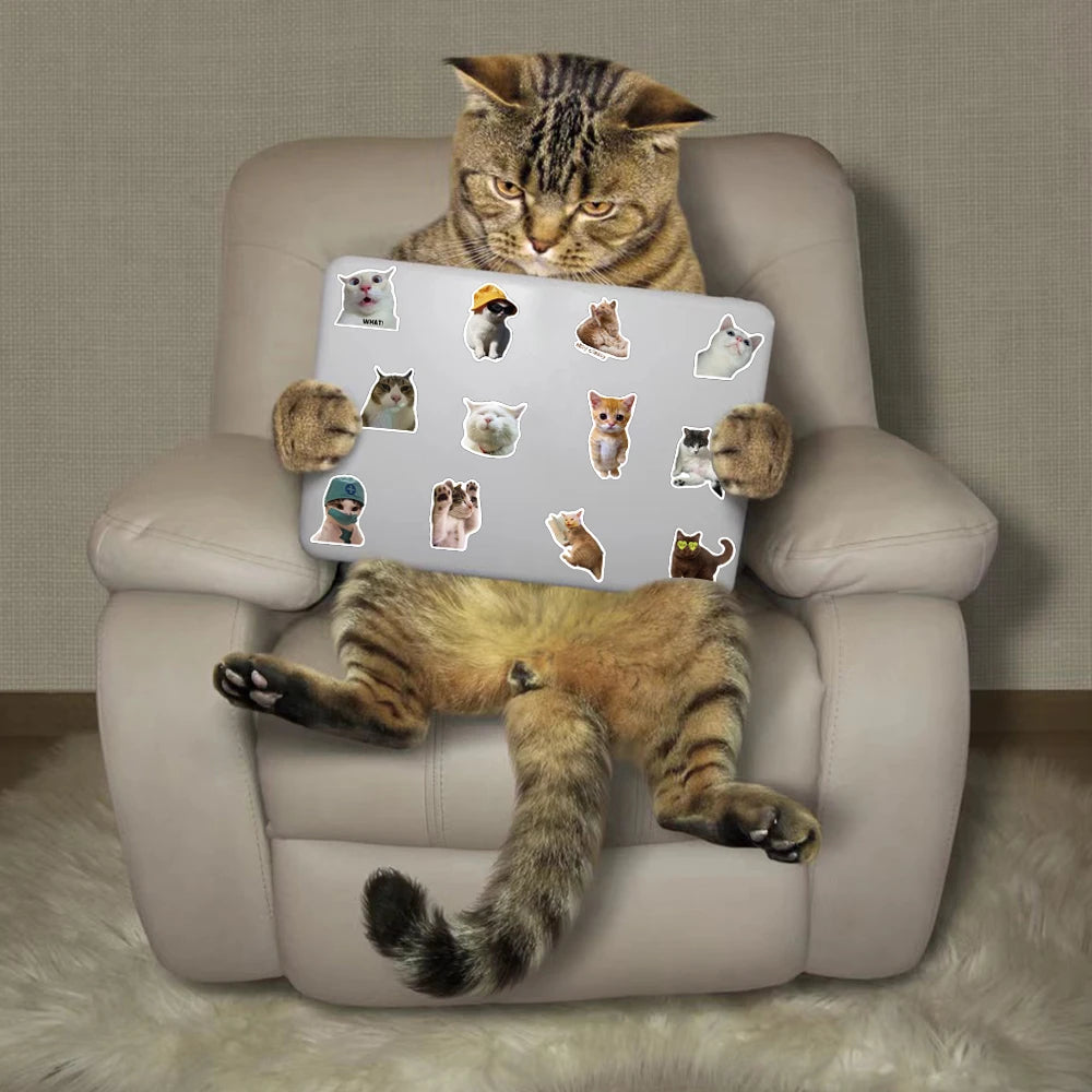 Funny Cute Cat Meme Stickers 50/100PCS for Scrapbooking, Notebooks, and Laptops