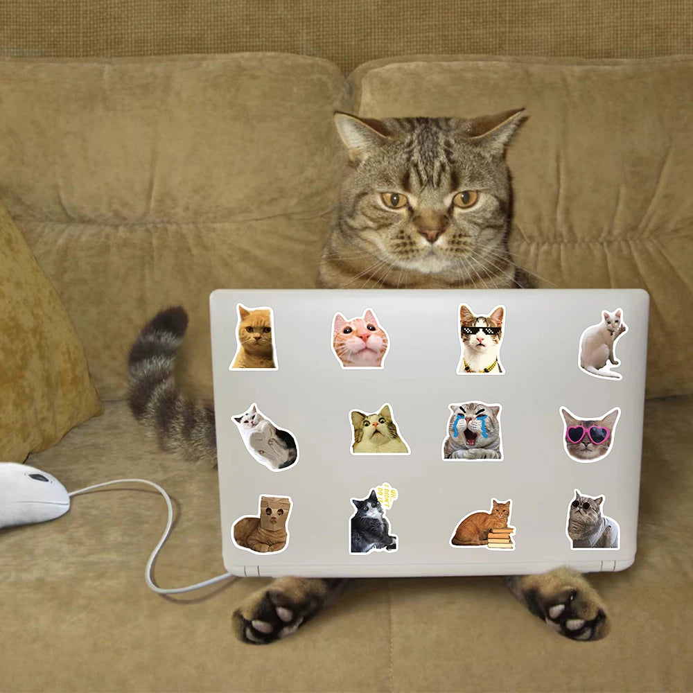 Funny Cute Cat Meme Stickers 50/100PCS for Scrapbooking, Notebooks, and Laptops