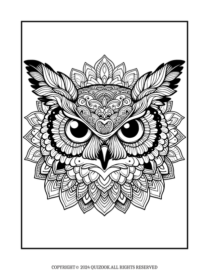 A Serene Owl Coloring E-Book for Adults (50 Pages)