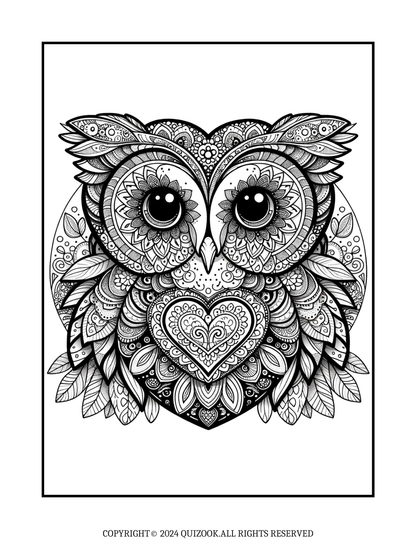 A Serene Owl Coloring E-Book for Adults (50 Pages)